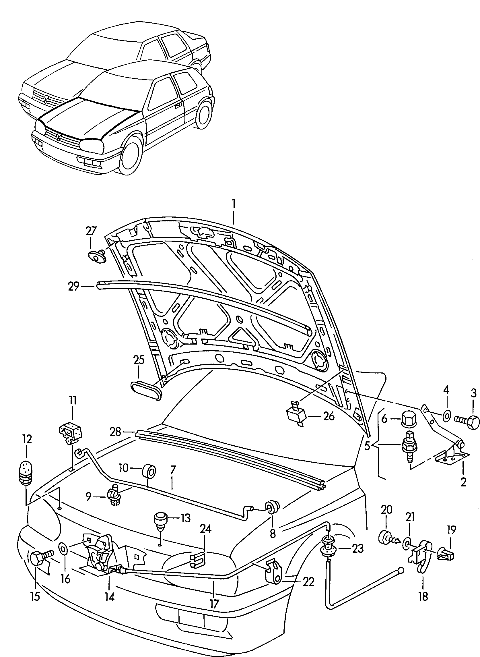Volkswagen Golf (1997 - 1998) - Bonnet