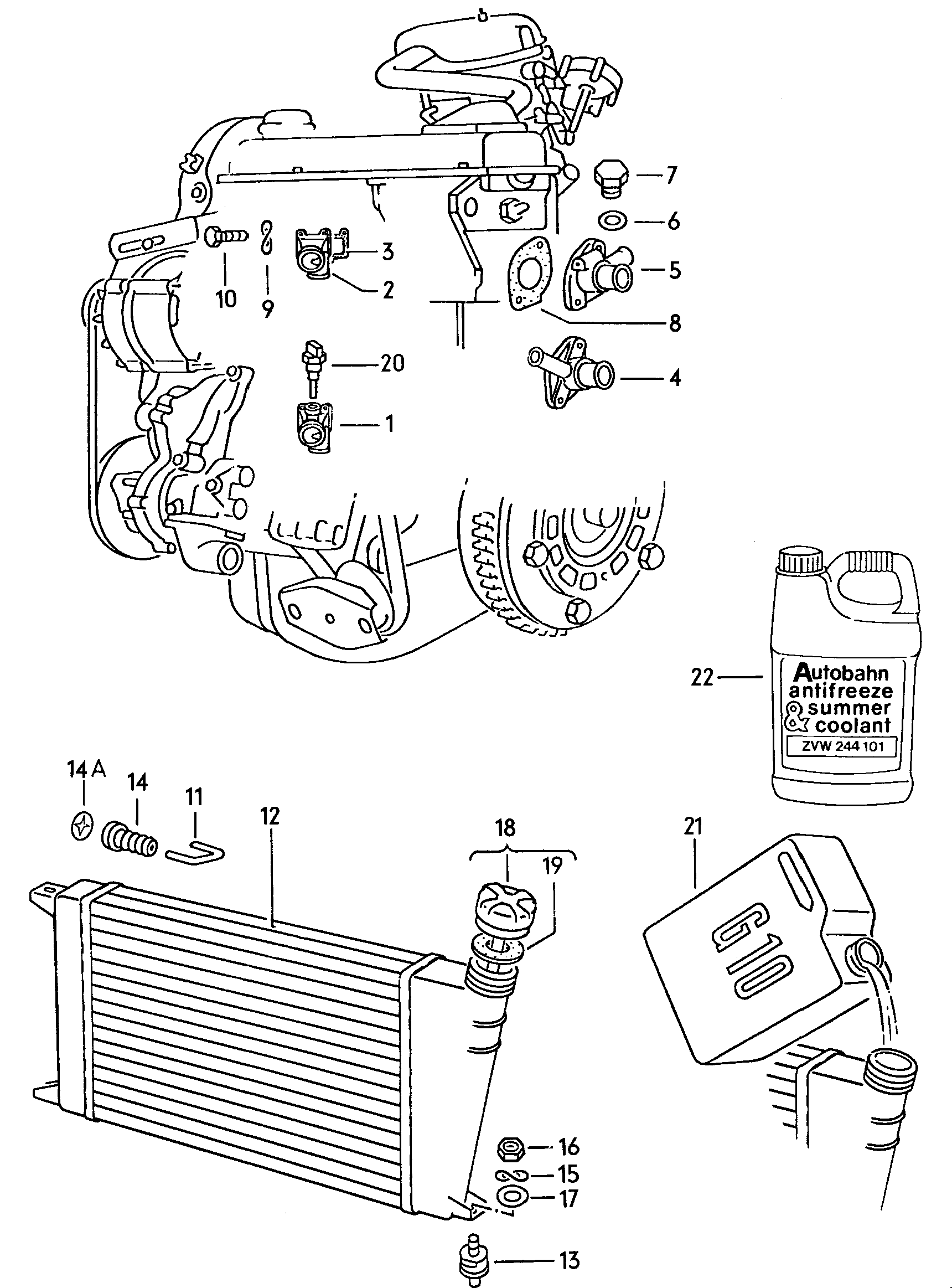 Volkswagen Golf (1979 - 1980) - Coolant pump