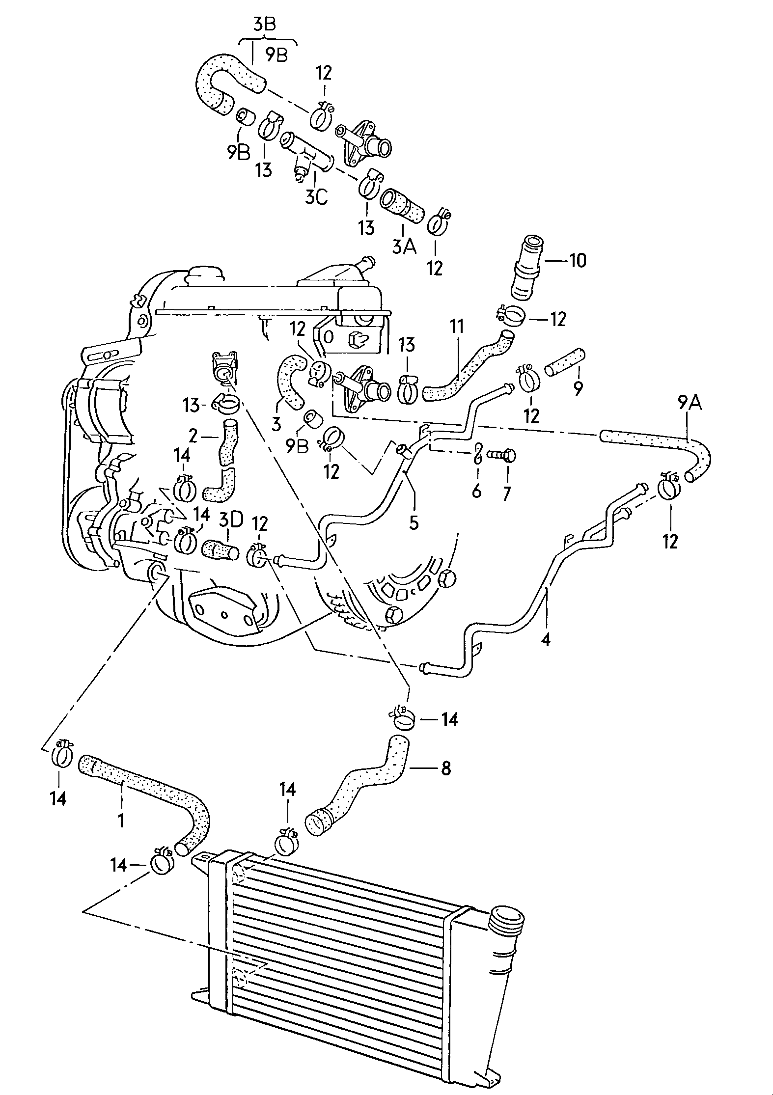 Volkswagen Golf (1979 - 1980) - Coolant pump