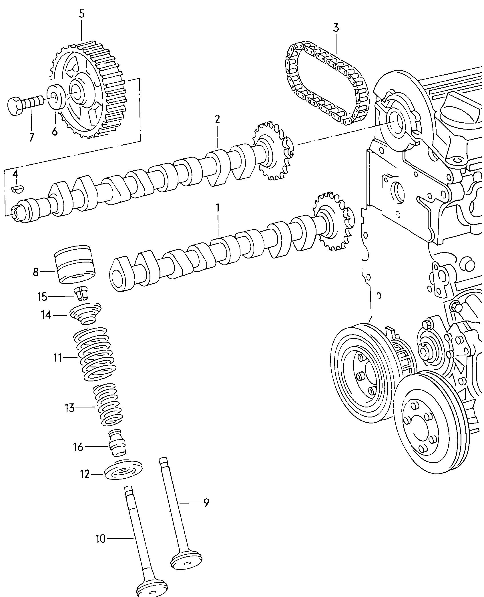 Toothed belt. Toothed belt guard