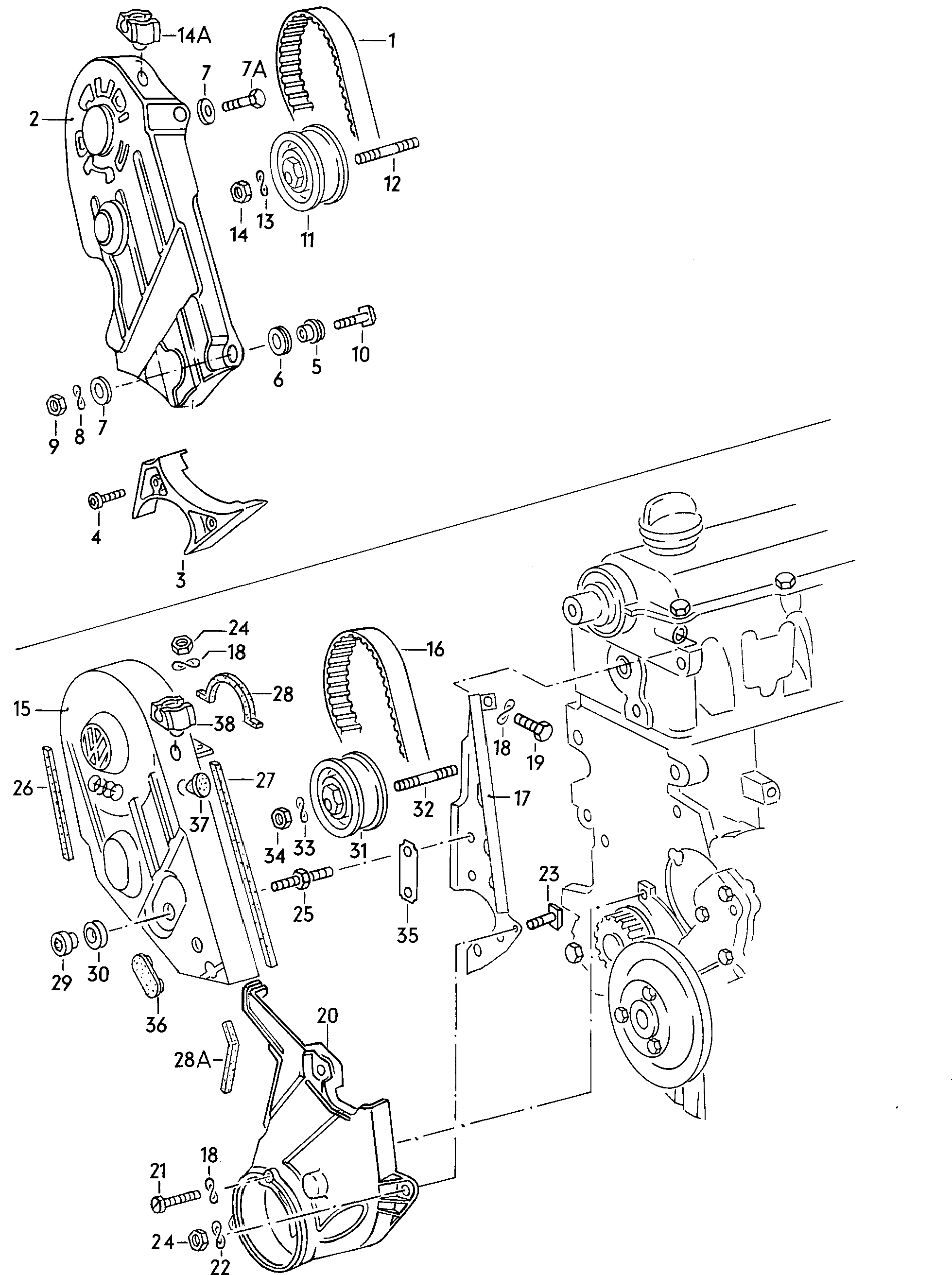 Volkswagen Golf (1979 - 1980) - Toothed belt. Toothed belt guard