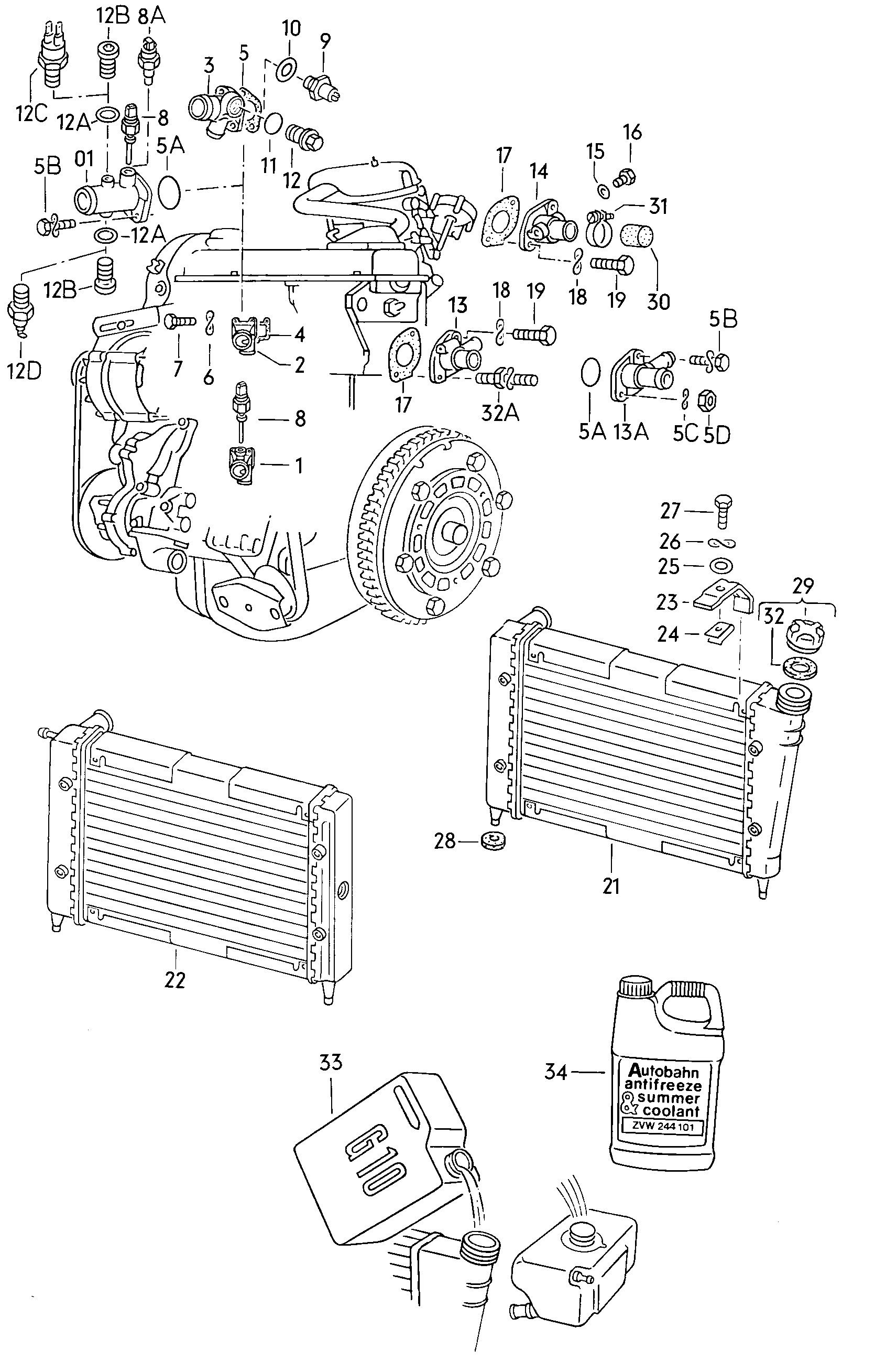 Volkswagen Golf (1982 - 1984) - Coolant pump