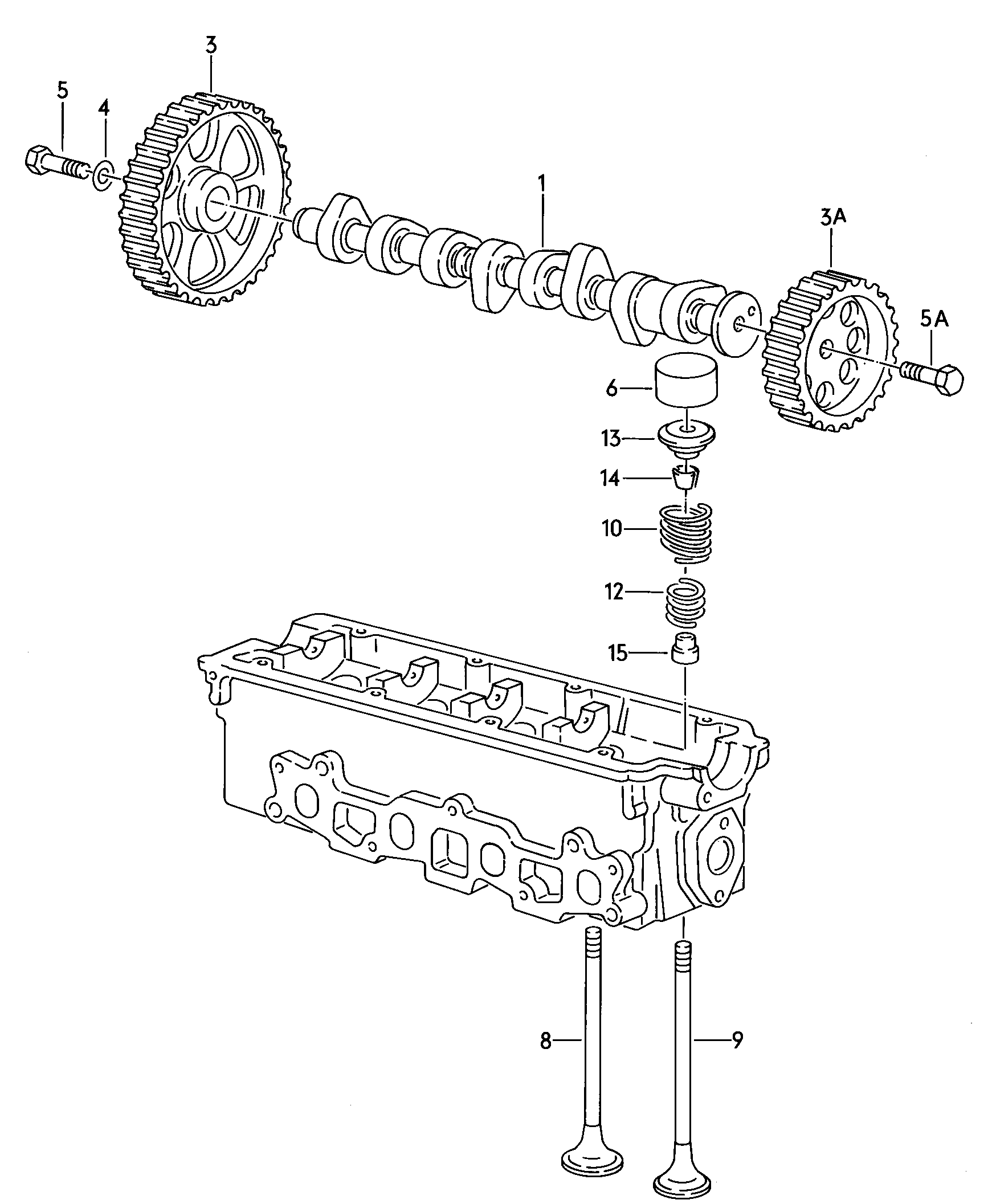 Toothed belt. Toothed belt guard